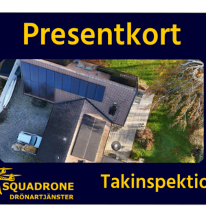 https://squadrone.se/wp-content/uploads/2024/12/Presentkort-Tak2-300x300.png